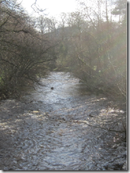 ariver