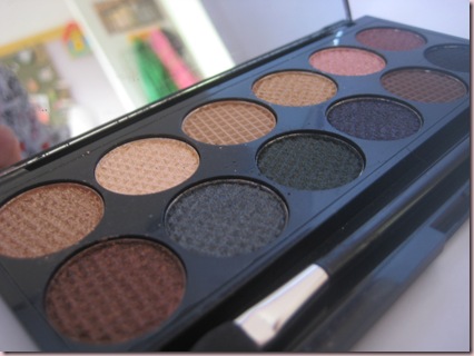 sleek pallete 016