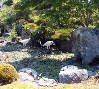 拝島の普明寺さんの庭