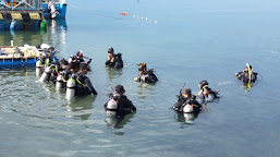   Hari Kedua, Calon Diving Action Di Laut Pantai Lolaro Tinombo Parimo