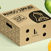  Tips for Storing and Selecting Delicious Mangoes