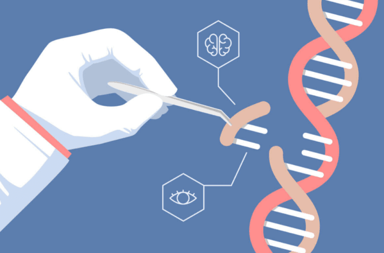 Revolusi Genetika  Hormon Insulin Melalui Bioteknologi 