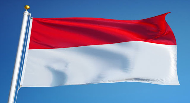 If you turn the Indonesian flag upside down which European country's flag would you get?