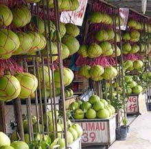 Ipoh souvenir: You must buy pomeloes here.