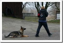 2009.11.23 Angie (13)