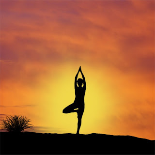 Siddha Yoga
