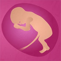 Baby Development Conception to Birth Animation by CSZ97