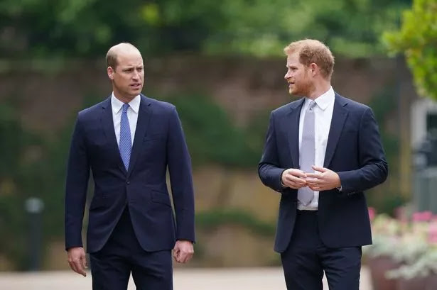 Prince William's Increasing Challenges Amid Prince Harry's Absence