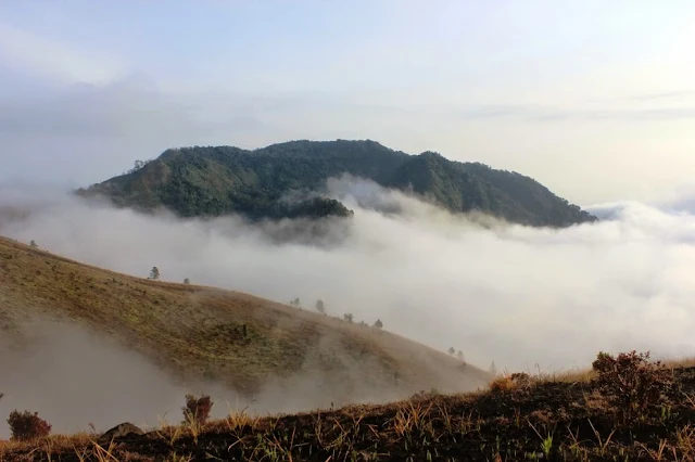 Gunung Guntur 2014