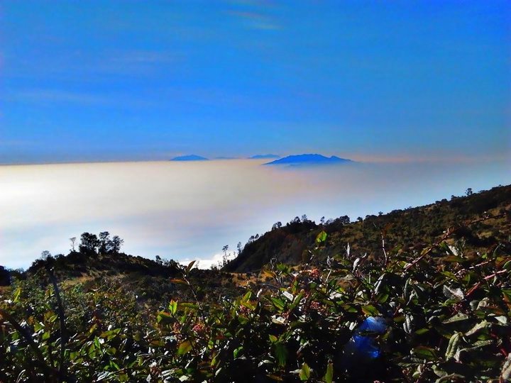 Sekar Rinonce: Gunung Lawu 3265 Mdpl - Pendakian Via Jalur 