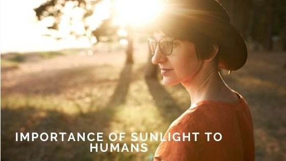 Why Is The Importance Of Sunlight To Humans
