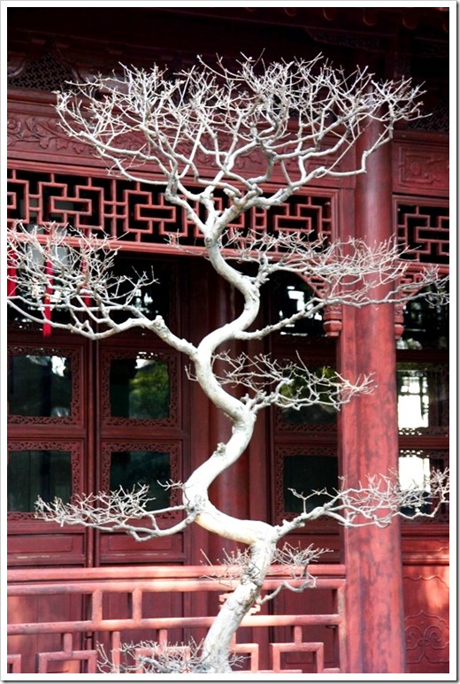 yuyuan garden