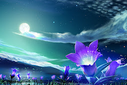 Gambar Unik Wallpaper