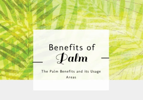 Palm oil