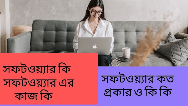 সফটওয়্যার কি, সফটওয়্যার এর কাজ কি এবং সফটওয়্যার কত প্রকার ও কি কি  আলোচনা কর 