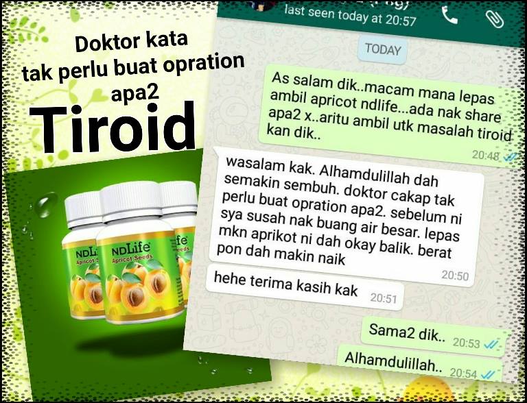 Herba & Kesihatan: Simptom dan Suplemen Biji Aprikot Untuk 