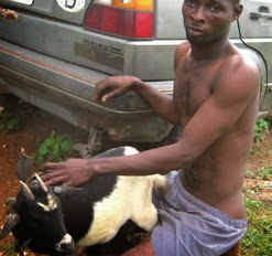 Another Man Caught in Nyeri Now with a 'He GOAT' 