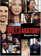 Gre's Anatomy