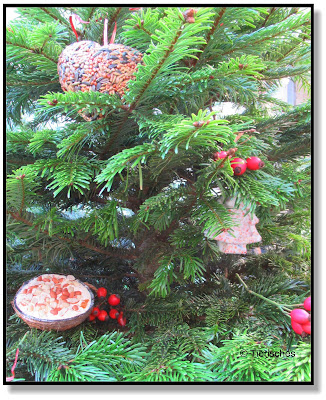 geschmückter Weihnachtsbaum für Wildvögel