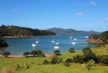Freewind, Bay of Islands, Army Bay