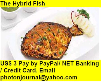  The Hybrid Fish Book Store Hyatt Book Store Amazon Books eBay Book  Book Store Book Fair Book Exhibition Sell your Book Book Copyright Book Royalty Book ISBN Book Barcode How to Self Book 