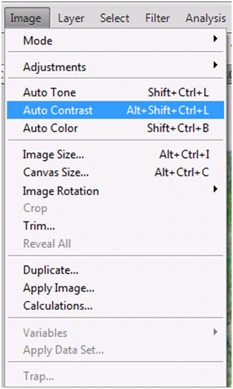 Auto Contrast Menu