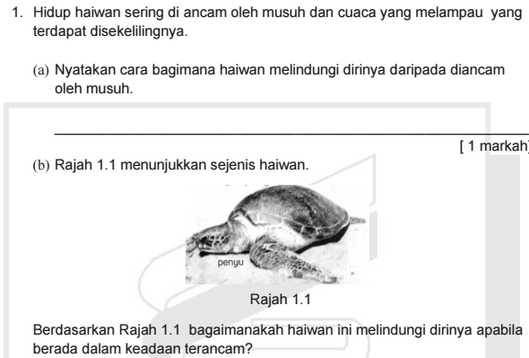 Soalan Ppt Bahasa Melayu Format Kssm Tingkatan 1 - Selangor w