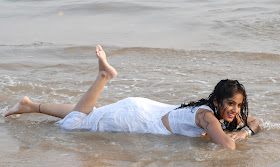 Madhavi Latha Hot in White Saree