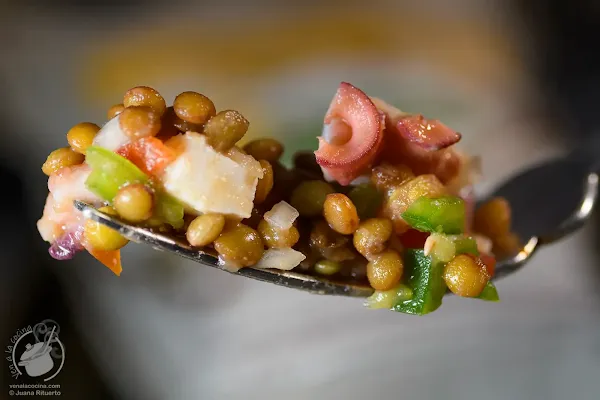 Lentejas de Tierra de Campos en salpicón de pulpo