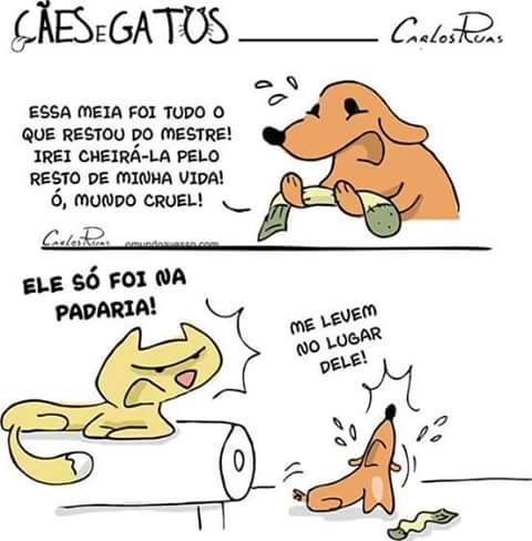 Cães vs. Gatos