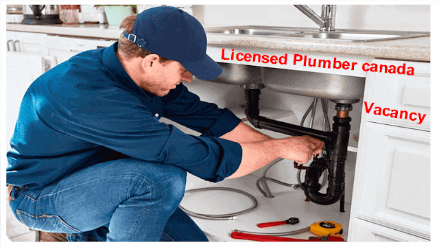 Job requirements Plumber Other trades certificate or diploma