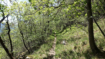 Singletrail bei der Combe des Geais