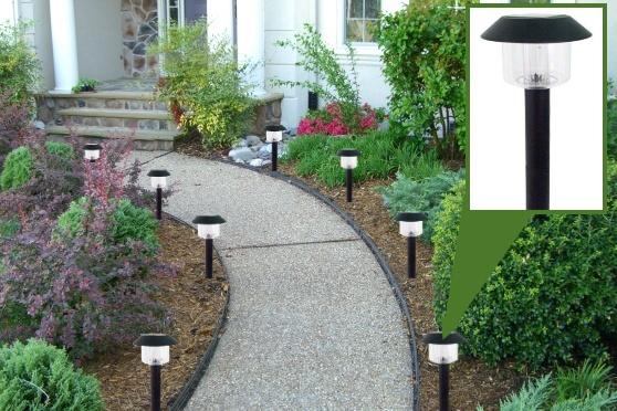 Garden Solar Lights