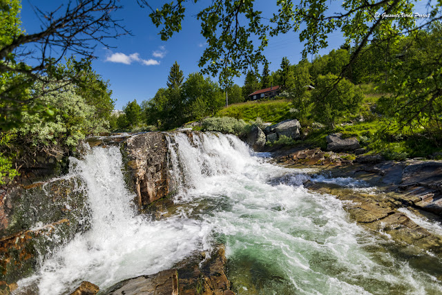 Riberas del río Ula, Ruta Brudesloret, Rondane - Noruega, por El Guisante Verde Project