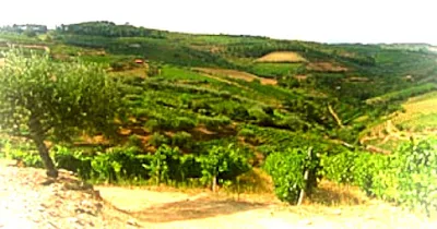 Vale do rio Pequeno, em Cabeda - Vilar de Maçada - encosta onde se situam as melhores quintas da povoação