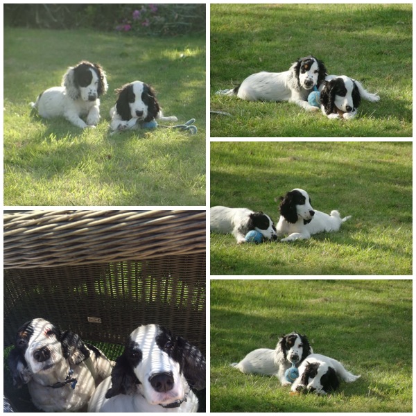 Molly & Lucy