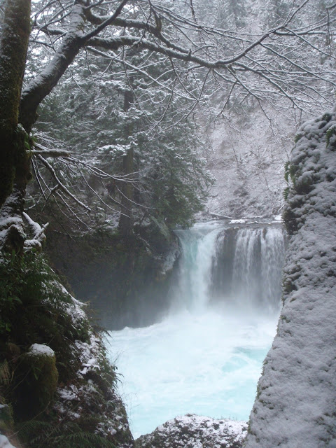 Daniel Patrinellis. Adrian Wigston, Mike Nash, Joe Howard, Scott Waidelich, Jeremy Bisson, Alex Podolak, Brad X, Logan Farrell, Kokatat, Dagger Kayaks, Confluence watersports, Canon 7D, Canon, Gopro, GoPro Hero2, Mamba, Nomad, Burn, Karnali, Little White Salmon River, Little White Salmon, LDUB, ldub, Little White, Hood River, Kayaking, Creeking, Carnage, WA, Washington, PNW