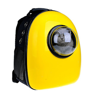 Awesome Bubble Backpack for your Cat
