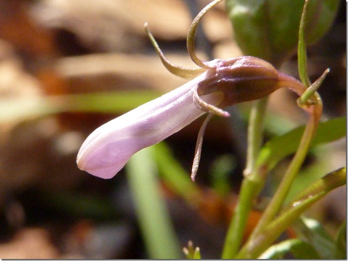 P1160965