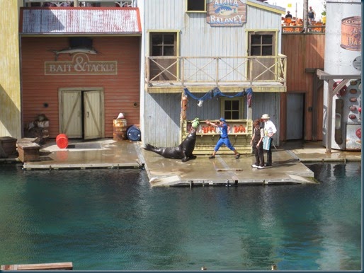 2013_12_01-Sea_World-158