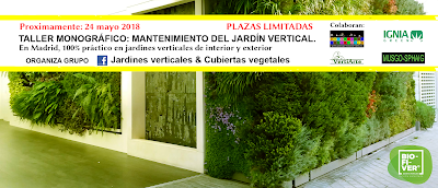 taller mantenimiento jardines verticales