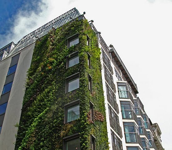 FACHADAS VEGETALES EN EDIFICIOS - FACHADAS VERDES - VERTICAL GARDEN