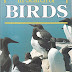 Voir la critique In Search of Birds: Their Haunts and Habits PDF