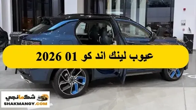 عيوب لينك اند كو 01 2026