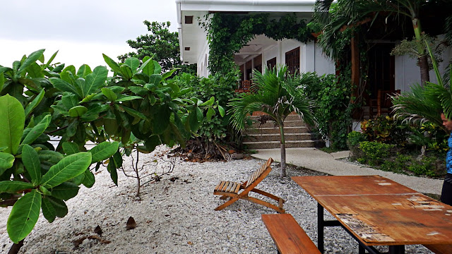 young trees line the beach with a dining table at Sogod Bay Scuba Resort, Padre Burgos, Southern Leyte