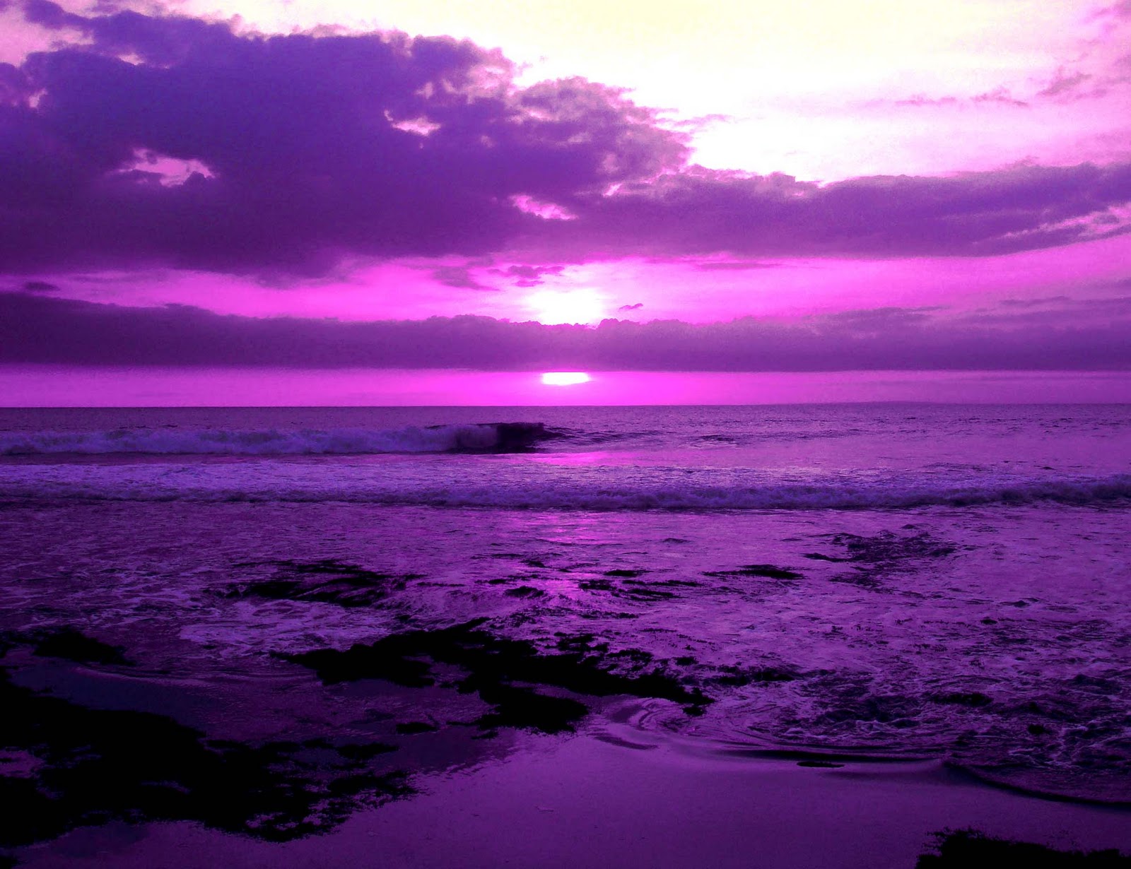 Serene: Purple from Jacci Howard Bear's Desktop Publishing Colors And