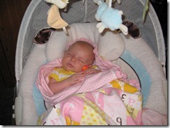 IMG_1475 IMG_1475