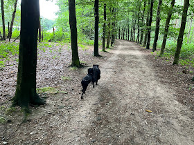 Wilka en Esmee lopen naast elkaar over bospad