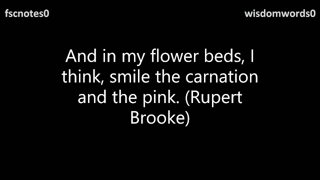 And in my flower beds, I think, smile the carnation and the pink. (Rupert Brooke)