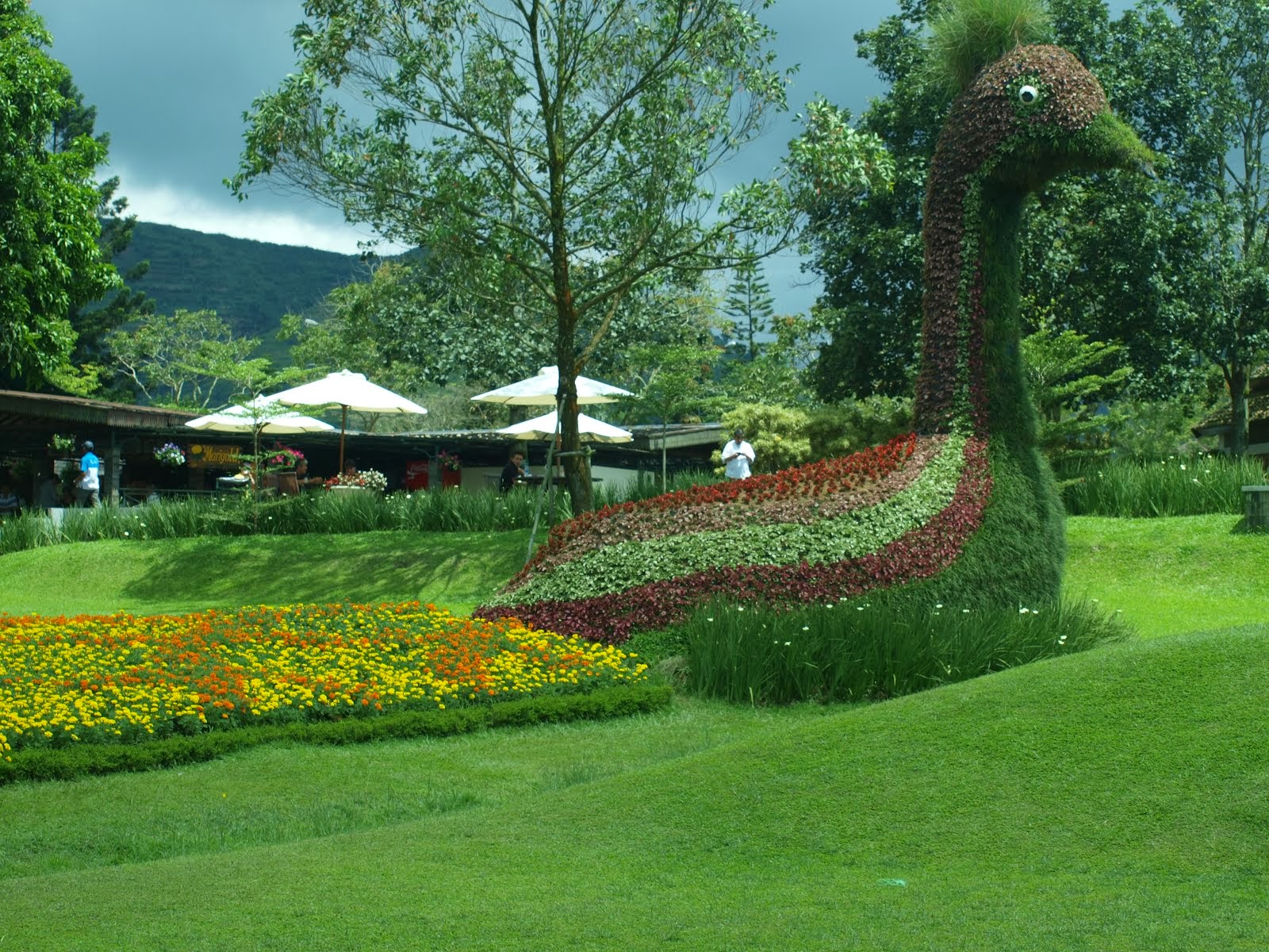 Gambar Taman Bunga